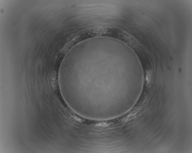 X0000071330867200606231130