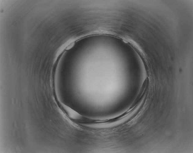 X0000071330910200606231129