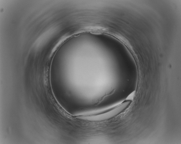 X0000071330912200606231129
