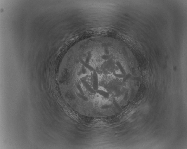 X0000071330913200606231128