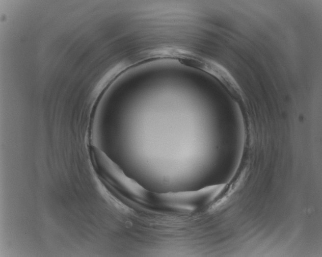 X0000071330946200606231129