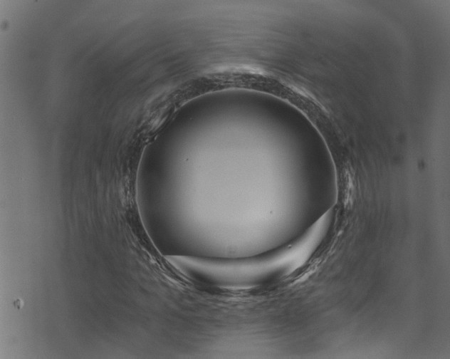 X0000071330965200606231128