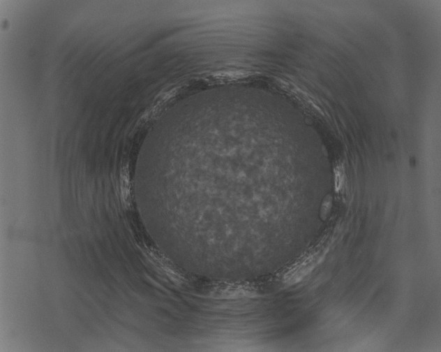 X0000071331011200606231127