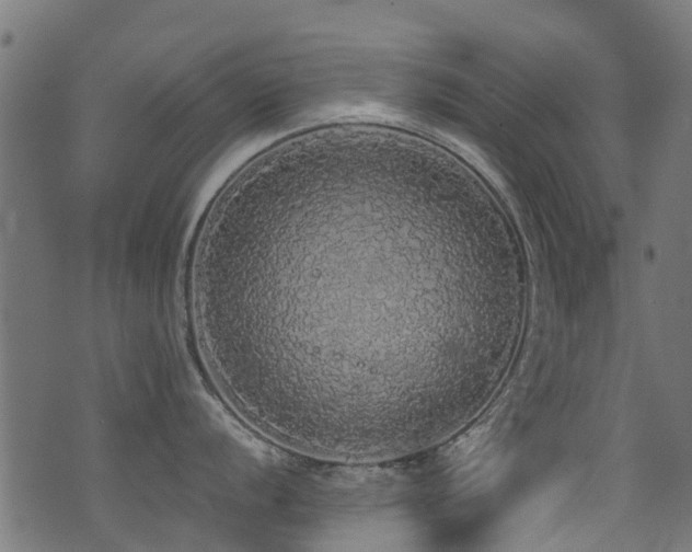 X0000071331056200606231128