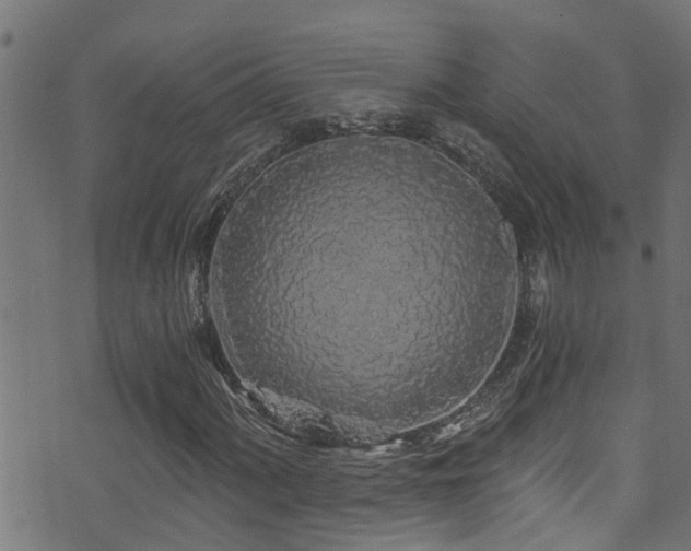 X0000071331060200606231127