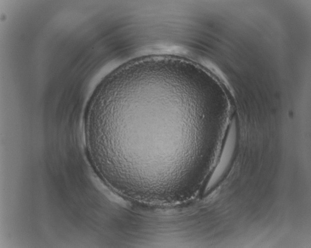 X0000071331080200606231126