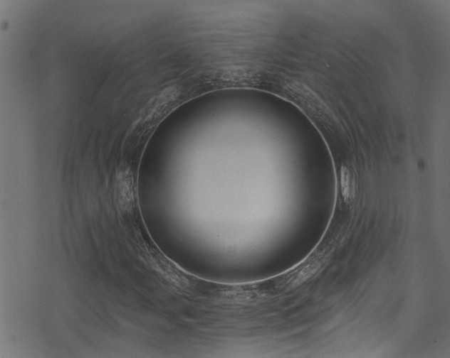 X0000071331107200606231125