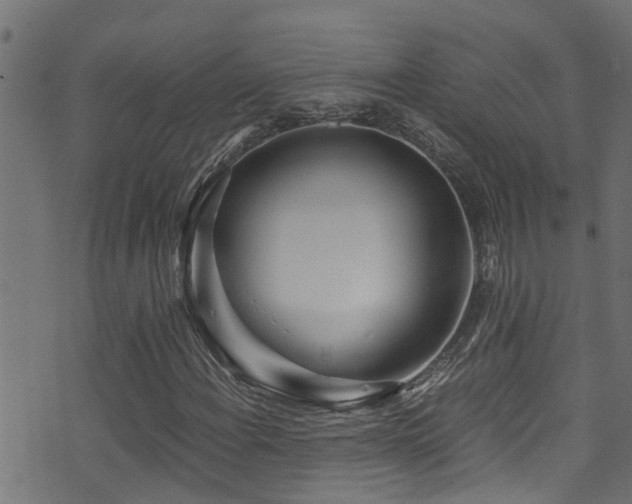 X0000071331108200606231125