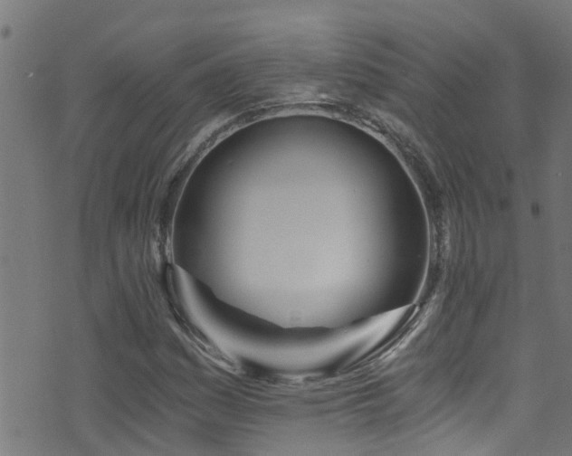 X0000071331161200606231125