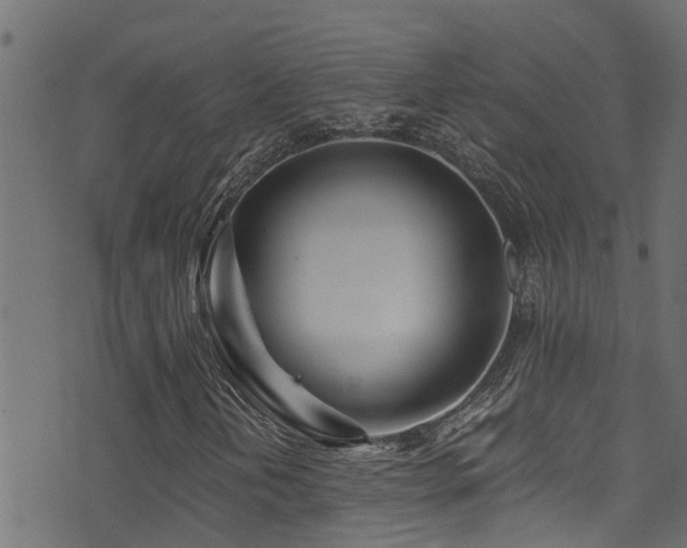 X0000071331202200606231124