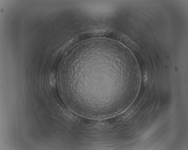 X0000071331204200606231124