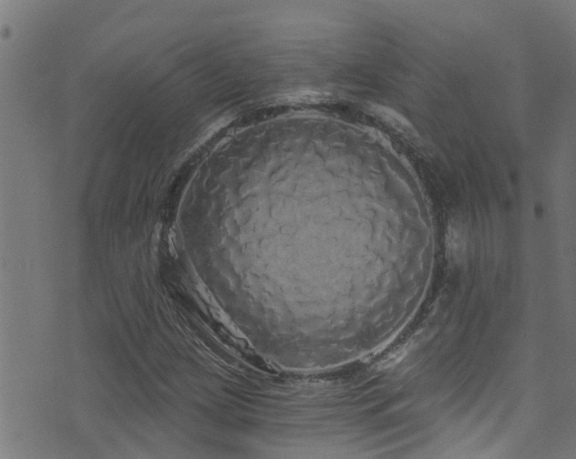 X0000071331209200606231124