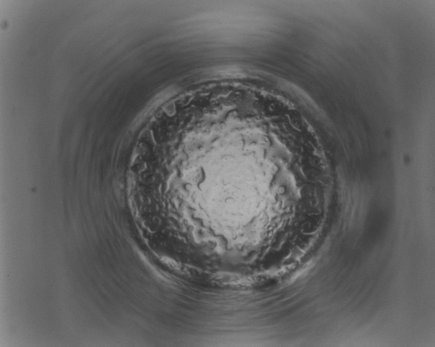 X0000071331225200606231124