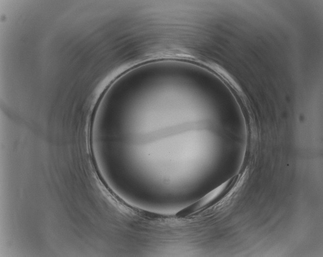 X0000071331246200606231124