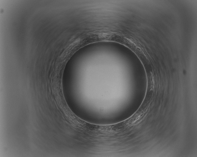 X0000071331249200606231124