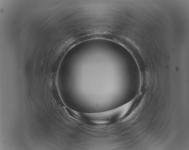 X0000071331257200606231124