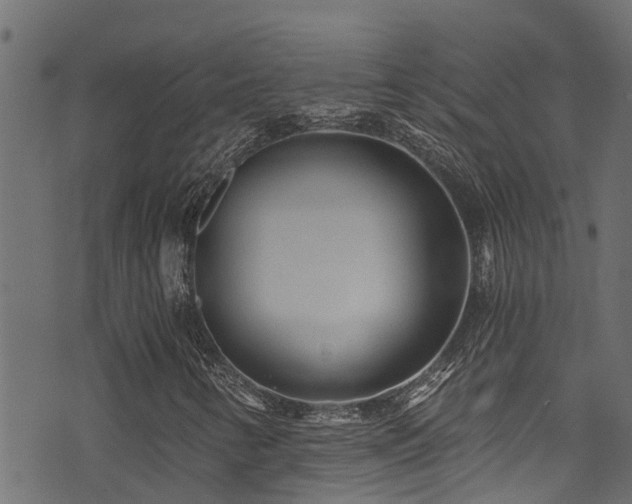 X0000071331346200606231122