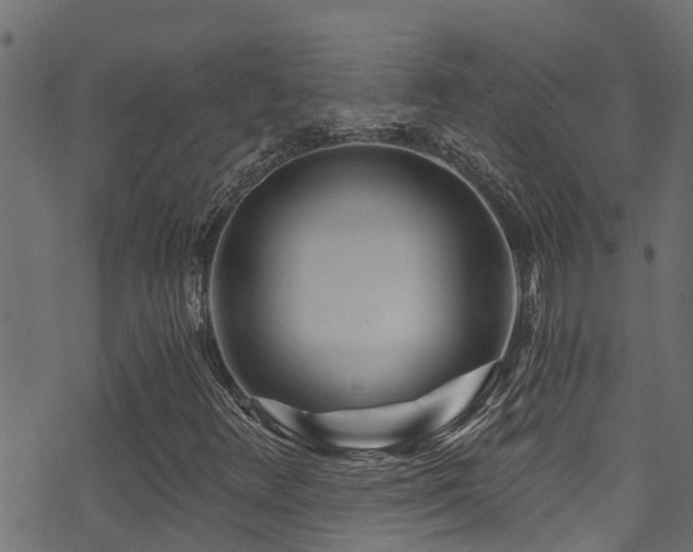X0000071331348200606231122