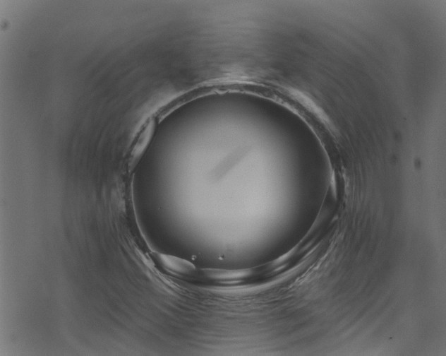 X0000071331356200606231122