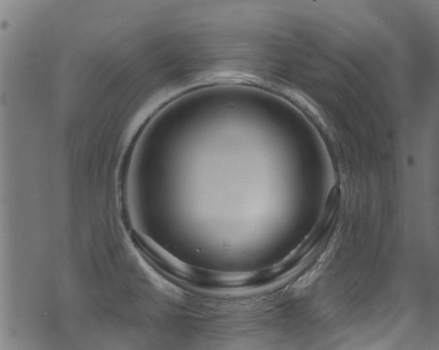 X0000071331430200606231121