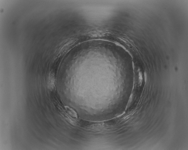 X0000071331444200606231121