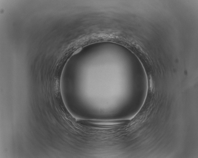 X0000071331492200606231119