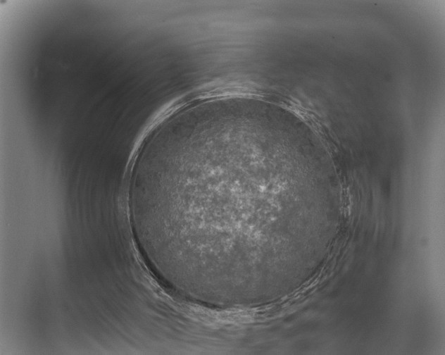 X0000071330004200606261258