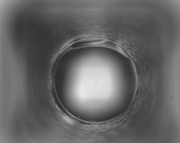 X0000071330005200606261258