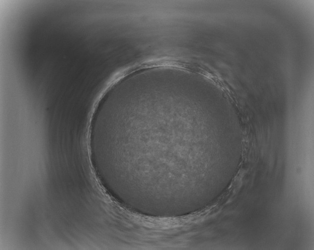 X0000071330006200606261258