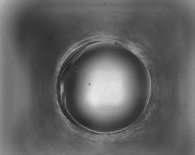 X0000071330007200606261258