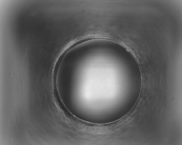 X0000071330008200606261258