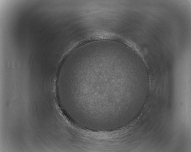 X0000071330010200606261258