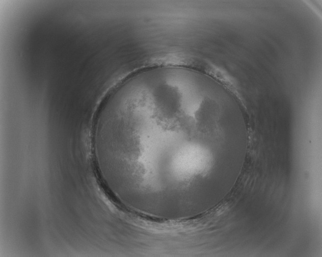 X0000071330012200606261258