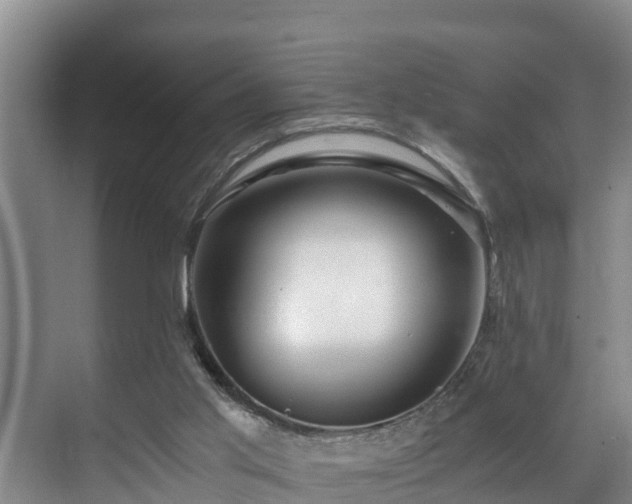 X0000071330013200606261258