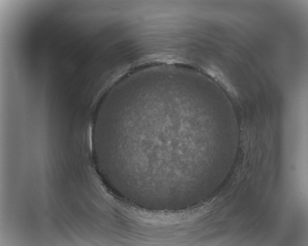 X0000071330014200606261258