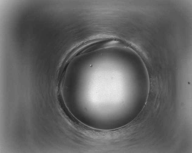 X0000071330015200606261258