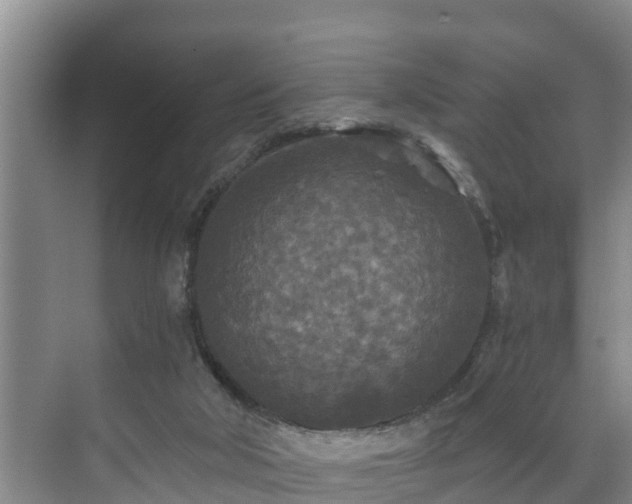 X0000071330018200606261258