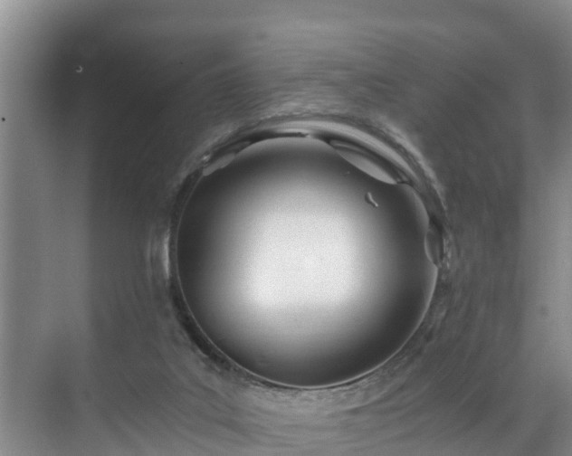 X0000071330019200606261258