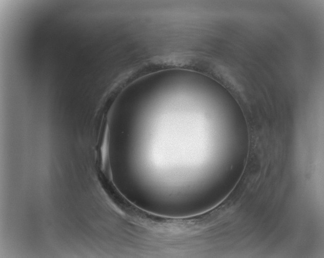 X0000071330020200606261258