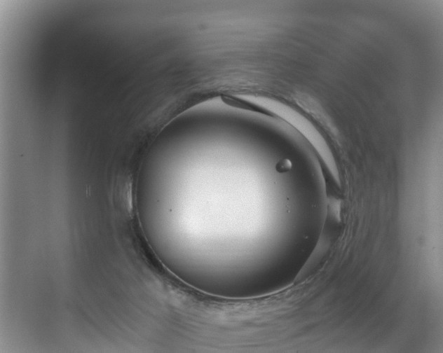 X0000071330021200606261258