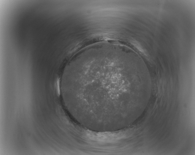 X0000071330022200606261258