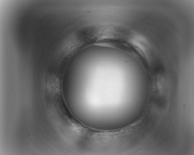 X0000071330025200606261258