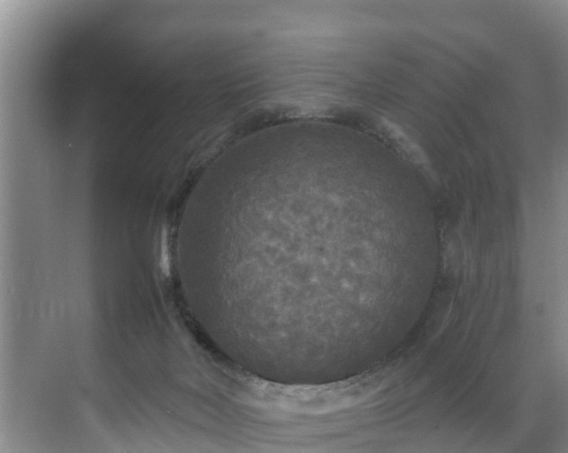 X0000071330026200606261258