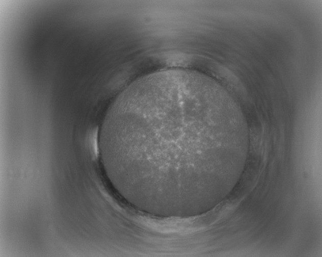 X0000071330028200606261258