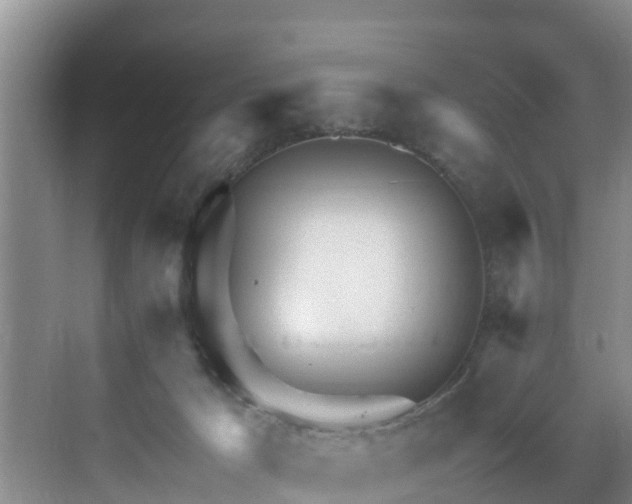 X0000071330029200606261258