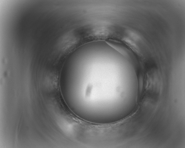 X0000071330033200606261258