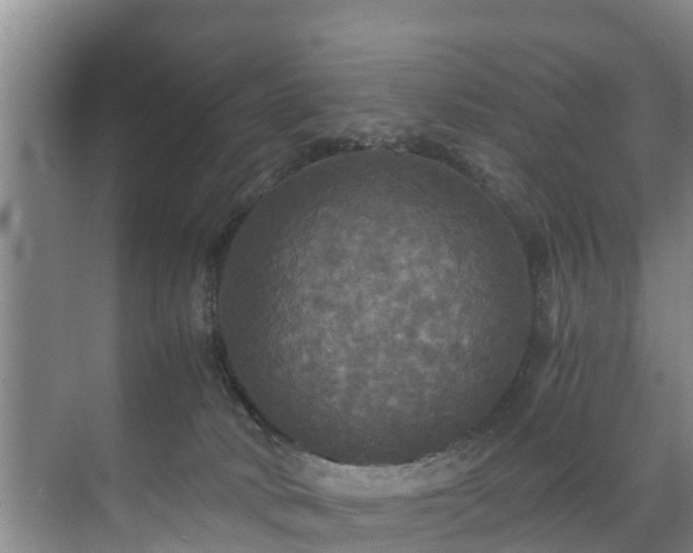 X0000071330034200606261258