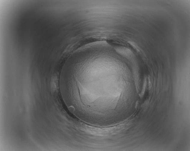 X0000071330035200606261258