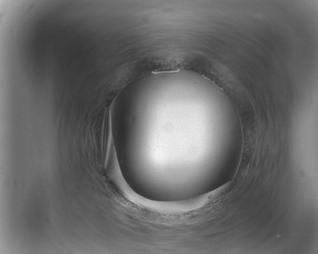 X0000071330037200606261258