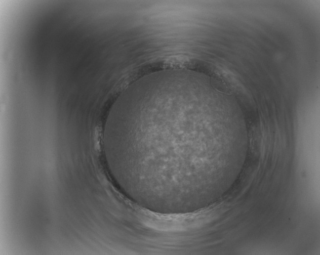 X0000071330038200606261258